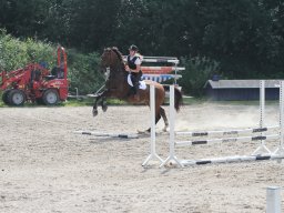 IMG_1334_web